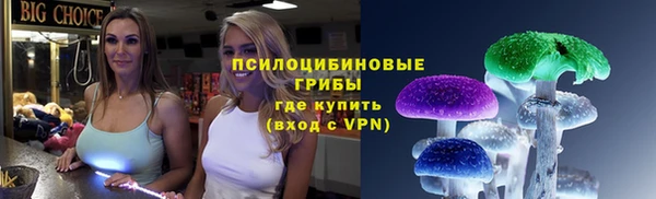 СК Заводоуковск